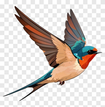 Colorful Swallow In Flight PNG