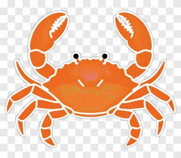 Orange Crab PNG