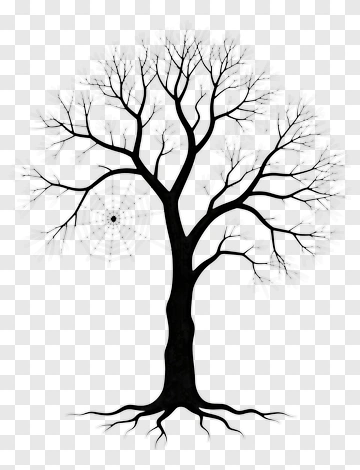 Black Tree With Spider Web PNG