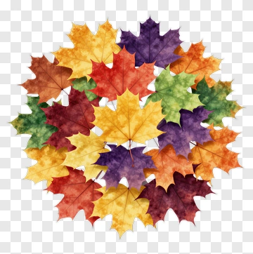 Autumn Maple Leaves In Vibrant Colors PNG
