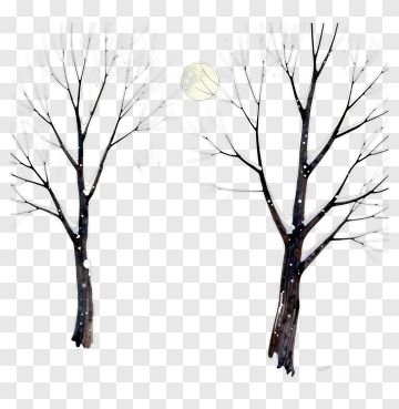 Snowy Trees Under Moonlight PNG