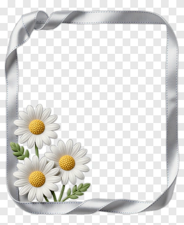 White Daisy And Silver Ribbon Frame PNG