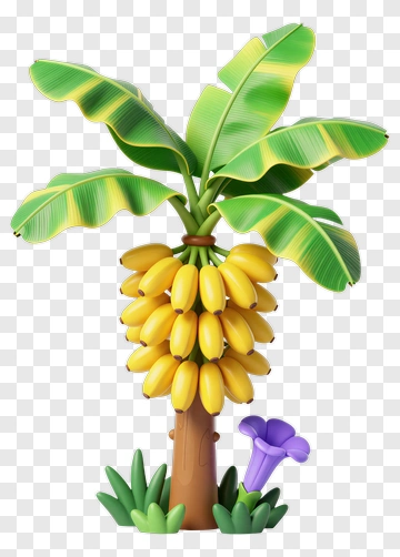 Banana Tree With Yellow Fruit And Purple Flower PNG