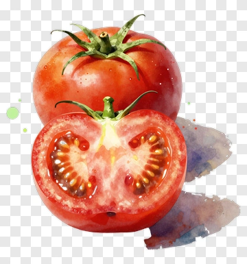 Fresh Tomato PNG