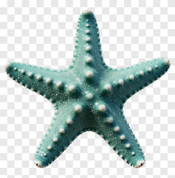 Blue Starfish PNG