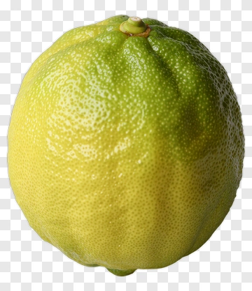 Fresh Lemon PNG