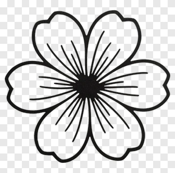 Black And White Flower Outline PNG