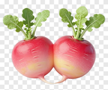 Two Red Radishes With Green Tops PNG