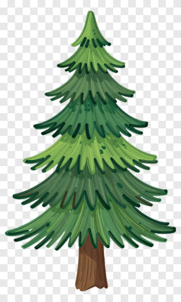 Hand-drawn Pine Tree PNG
