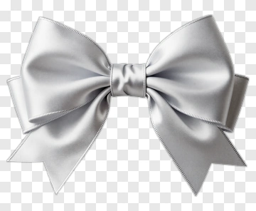 Silver Bow PNG