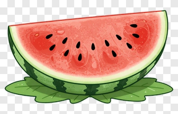 Watermelon With Leaf PNG