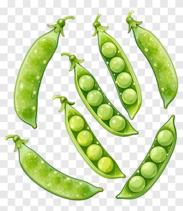 Green Pea Pods PNG