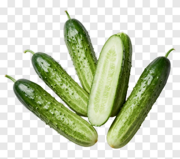 Fresh Cucumber PNG