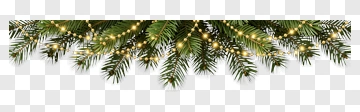 Christmas Tree Branch With Festive Lights PNG