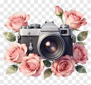 Retro Camera Surrounded By Pink Roses PNG