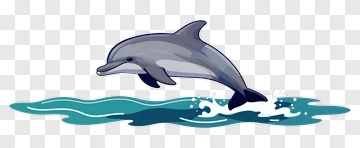 Dolphin Leaping Out Of Water PNG