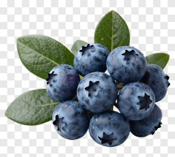 Fresh Blueberries With Green Leaves PNG