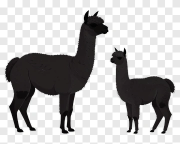 Adult And Baby Alpaca PNG