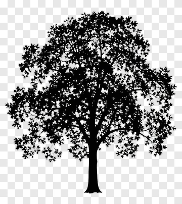 Black Tree Silhouette PNG