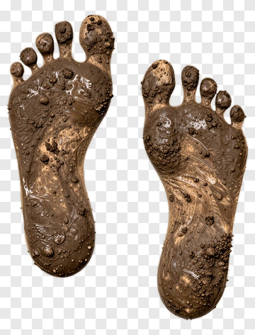 Muddy Feet PNG