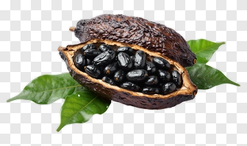 Cocoa Pod With Beans And Leaves PNG