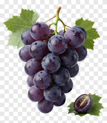 Fresh Purple Grape Cluster PNG