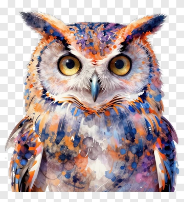 Watercolor Owl Portrait PNG