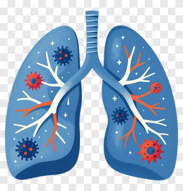 Lungs With Virus Illustration PNG