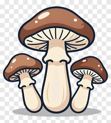 Cartoon Mushroom PNG