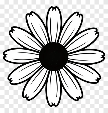 Daisy Flower PNG