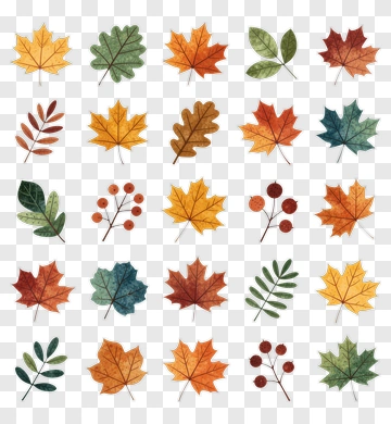 Autumn Leaves And Berries Collection PNG