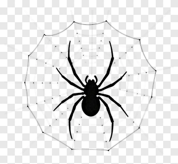 Spider On Web PNG