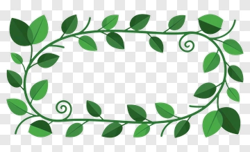 Green Vine Leaf Frame PNG