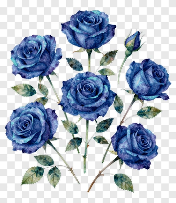 Blue Roses Watercolor Illustration PNG