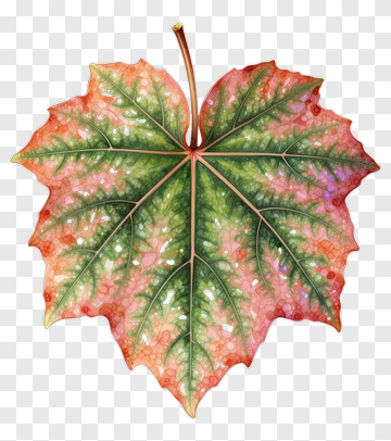 Autumn Leaf With Gradient Colors PNG