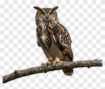 Great Horned Owl Perched On Branch PNG