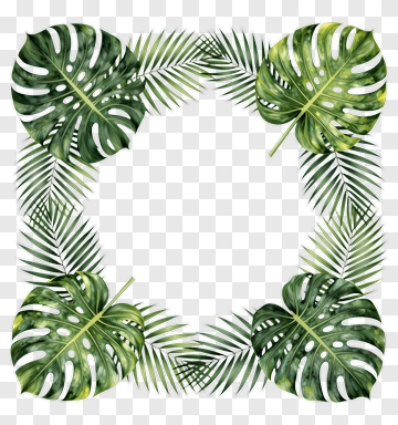 Tropical Leaf Border Design PNG