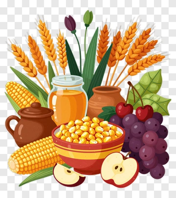 Harvest Of Corn And Fruit PNG