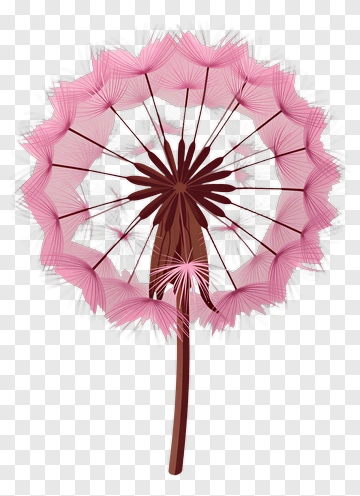 Pink Dandelion PNG