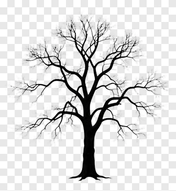 Bare Tree Silhouette PNG