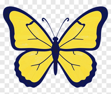 Yellow Butterfly With Blue Outline PNG