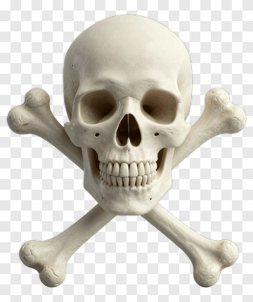 Skull And Bones PNG