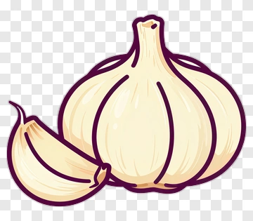 Garlic PNG