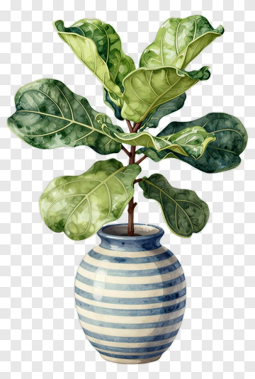 Fig Plant In Blue And White Vase PNG