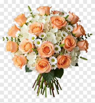 Orchid Rose Bouquet With Hydrangea And Daisy PNG