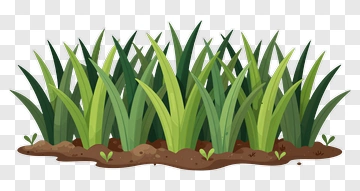 Cartoon Grass With Soil PNG