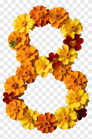 Flower Number Eight PNG