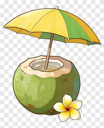 Coconut With Umbrella And Flower PNG