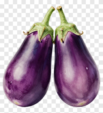 Two Eggplants PNG