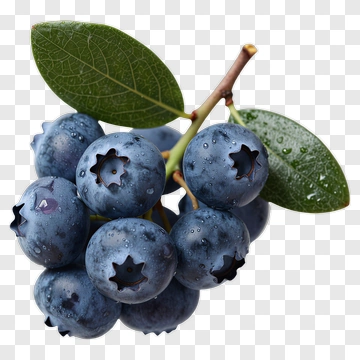 Fresh Blueberry Cluster With Leaves PNG